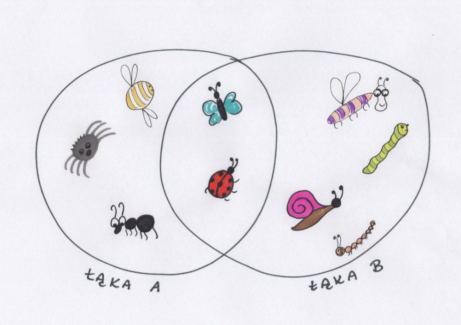 indeks Jaccarda: łąka A i B